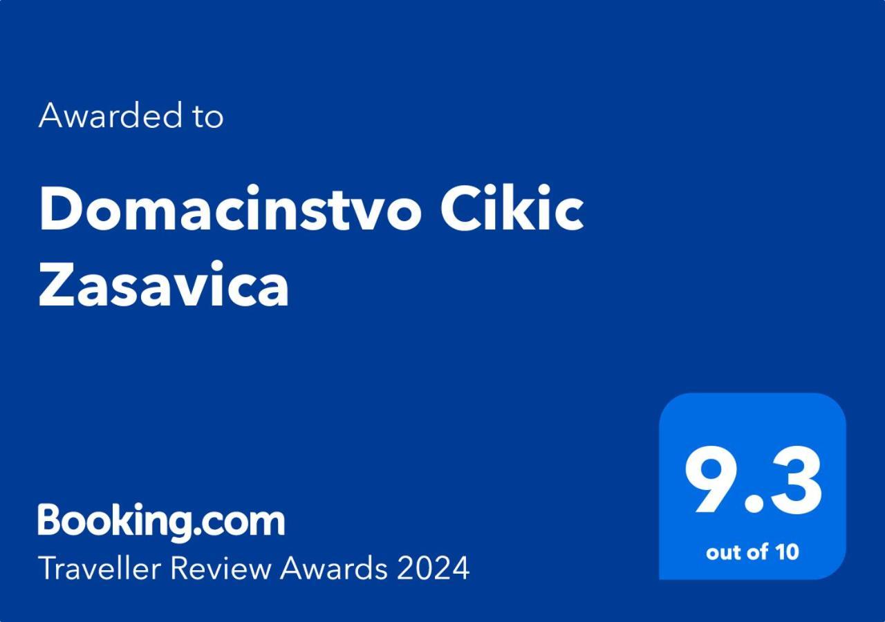 Domacinstvo Cikic Zasavica 게스트하우스 외부 사진